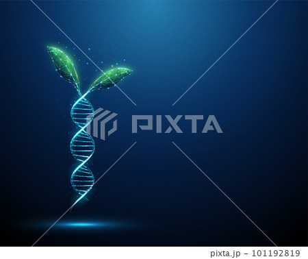 Green plant leafs growing from blue 3d DNA molecule helix Green plant leafs growing from blue 3d DNA molecule helix 101192819