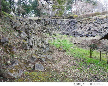 石垣山一夜城（神奈川県小田原市）2023年3月撮影 101193902