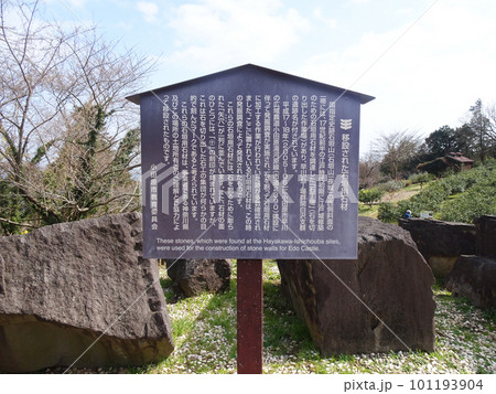 石垣山一夜城歴史公園の「移設された石垣用石材」の説明看板(神奈川県小田原市)2023年3月撮影 石垣山一夜城歴史公園の「移設された石垣用石材」の説明看板(神奈川県小田原市)2023年3月撮影 101193904