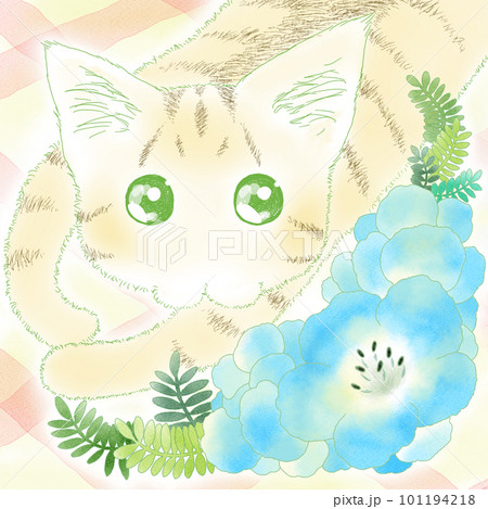 トラ猫と青い花のイラスト 101194218