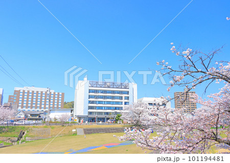 瀬戸市、瀬戸川沿いの桜と瀬戸市役所の風景 瀬戸市、瀬戸川沿いの桜と瀬戸市役所の風景 101194481