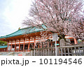 桜越しに見る平安神宮大極殿 101194546