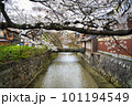 桜咲く京都の小川 101194549
