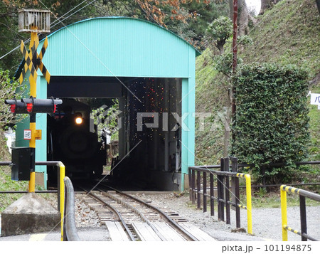 小田原城址公園のこども遊園地(神奈川県小田原市)2023年3月 小田原城址公園のこども遊園地(神奈川県小田原市)2023年3月 101194875