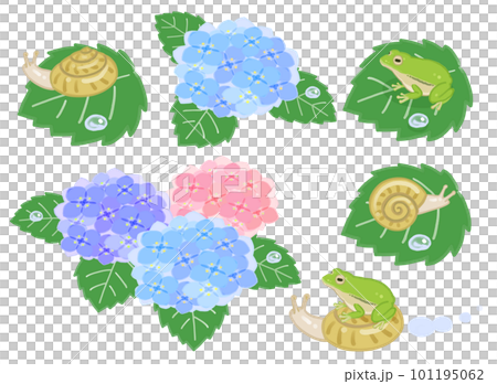 アジサイとカタツムリとアマガエルのイラスト 101195062