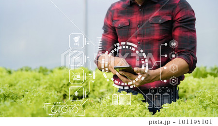 Agriculture uses production control smartphone to monitor quality vegetables at greenhouse. Smart farmer using a technology for studying. Agriculture uses production control smartphone to monitor quality vegetables at greenhouse. Smart farmer using a technology for studying. 101195101