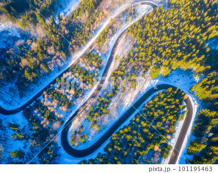 Asphalt road serpentine in snowy wintertime. Cold winter and sunny day above forest road with illuminated trees by rising sun. Aerial view from drone. Asphalt road serpentine in snowy wintertime. Cold winter and sunny day above forest road with illuminated trees by rising sun. Aerial view from drone. 101195463