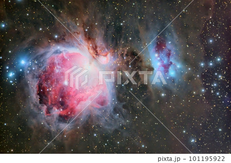 オリオン大星雲 101195922