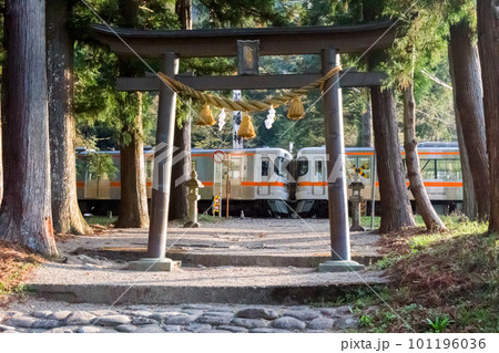 【高山本線】早朝の神社を通過する列車 101196036
