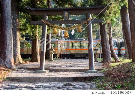 【高山本線】早朝の神社を通過する列車 【高山本線】早朝の神社を通過する列車 101196037