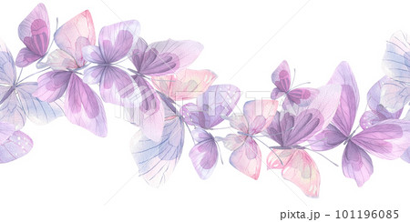 Pink, lilac and blue butterflies, gentle, airy, flying. Watercolor illustration. Seamless border on a white background. For decoration and design of posters, wallpapers, postcards, fabrics, textiles. 101196085