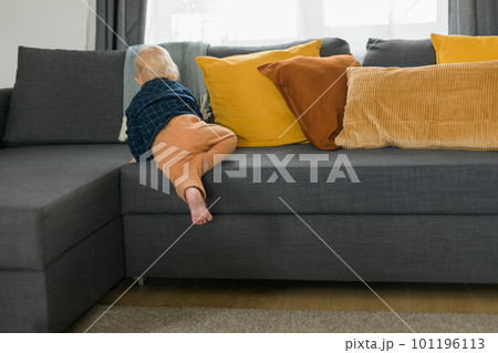 Toddler boy laughing having fun standing near sofa in living room at home copy space. Adorable baby making first steps alone. Happy childhood and child care concept Toddler boy laughing having fun standing near sofa in living room at home copy space. Adorable baby making first steps alone. Happy childhood and child care concept 101196113