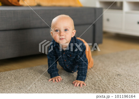 Nursery baby boy crawling on floor indoors at home copy space and empty space for text - Baby curiosity and child development stages 101196164