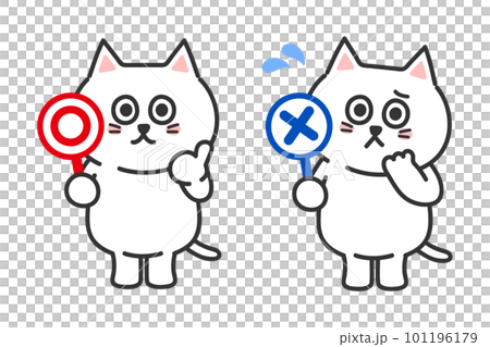 マルとバツの札を持った白猫　イラスト　ベクター 101196179
