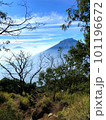 Hiking slope on Mount Sindoro, Indonesia 101196672