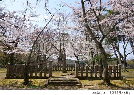 桜咲く吉崎御坊　春　本堂跡　蓮如上人 101197367