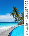 Exotic paradise Maldive resort lagoon bay view 101197402
