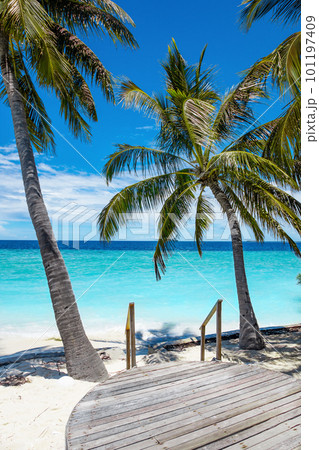 Exotic paradise Maldive resort lagoon bay view 101197409