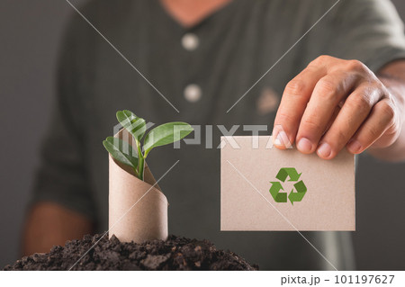 Save world and concept for plant the tree, Young green tree pops out of old brown cardboard on pile of soil with dark background, Can use for reuse, recycle and environment concept. 101197627