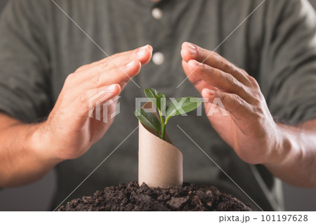 Save world and concept for plant the tree, Young green tree pops out of old brown cardboard on pile of soil with dark background, Can use for reuse, recycle and environment concept. Studio shot. 101197628