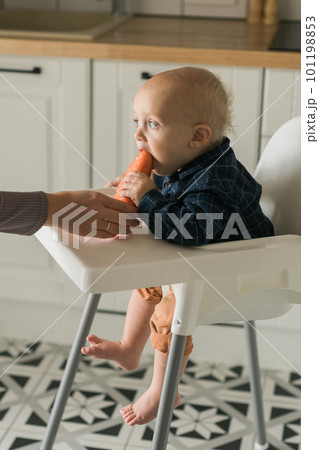 Baby boy sitting in baby chair eating carrot on kitchen background copy space - baby feeding concept 101198853