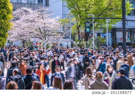 日本の東京都市景観 個人判断…渋谷はコロナ禍前の賑わい。桜も満開、外国人観光客も増加＝3月29日 101198977
