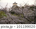 桜に包まれる天守閣 101199020
