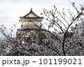 サクラと城 101199021