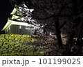 ライトアップされた城の桜 101199025