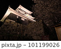 夜の城とサクラ 101199026