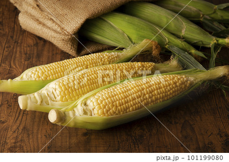 とうもろこし 101199080
