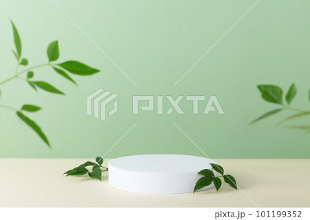 Abstract empty white podium with palm leaves on beige background 101199352