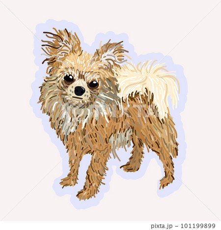 Vector isolated illustration of chihuahua. Small cute long-haired dog. Vector isolated illustration of chihuahua. Small cute long-haired dog. 101199899