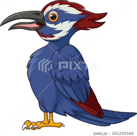 Cute woodpecker bird cartoon on white background 101200569