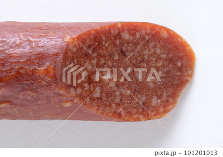 カルパス 101201013