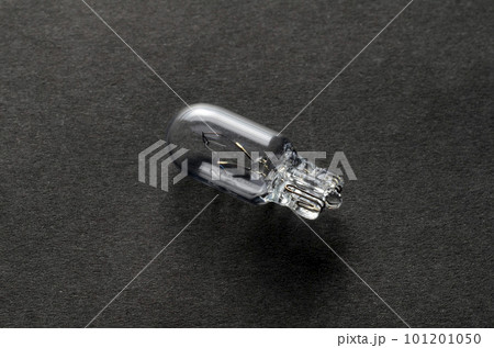 電球	 電球	 101201050