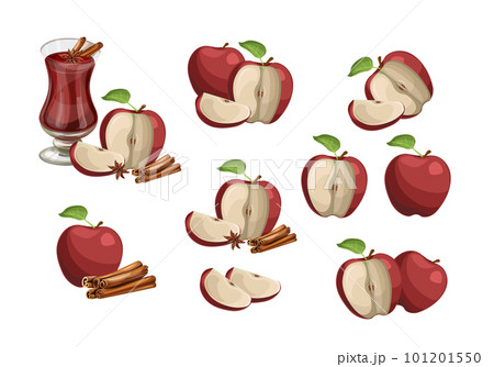 Vector set of red apples, cut still life collection, whole and sliced natural apples with green leaves and stems isolated on white background. Cartoon style.eps 10 101201550