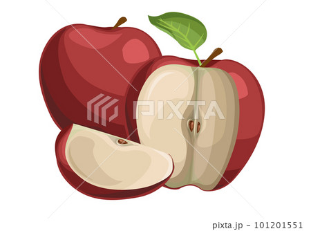 Red apples vector, cut still life collection, whole and sliced natural apples with green leaves and stems isolated on white background. Cartoon style.eps 10 101201551