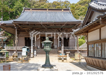 【第23番札所】春の薬王寺 本堂【四国八十八箇所】 【第23番札所】春の薬王寺 本堂【四国八十八箇所】 101202576