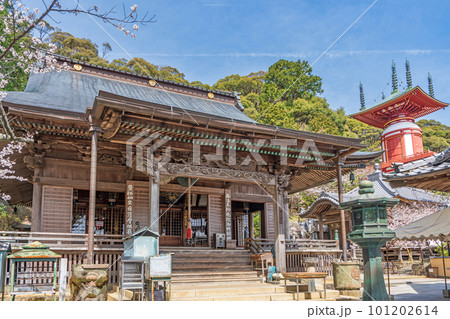 【第23番札所】春の薬王寺 本堂と瑜祇塔【四国八十八箇所】 【第23番札所】春の薬王寺 本堂と瑜祇塔【四国八十八箇所】 101202614