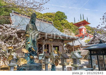 【第23番札所】春の薬王寺 魚籃観音【四国八十八箇所】 【第23番札所】春の薬王寺 魚籃観音【四国八十八箇所】 101202643
