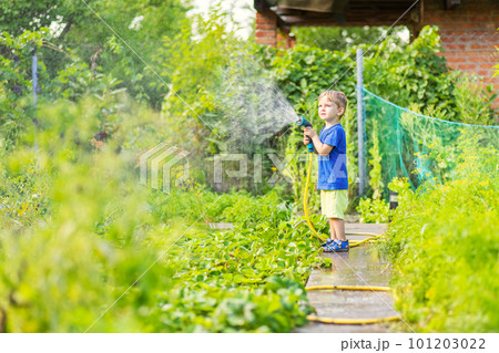 Child watering flowers and plants in garden. Little boy gardening 101203022