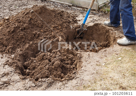 man digging a hole for planting a fruit tree in the garden man digging a hole for planting a fruit tree in the garden 101203611
