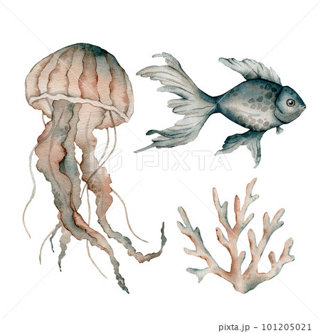 Set of sea animals poster. Blue, greeen, brown watercolor ocean shell, fish aquarium, coral, medusa. Nautical wildlife marine illustration Set of sea animals poster. Blue, greeen, brown watercolor ocean shell, fish aquarium, coral, medusa. Nautical wildlife marine illustration 101205021