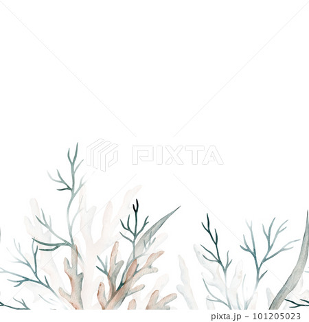 Watercolor banner with green seaweeds, corals. Marine frame. Decorative element for greeting card. Illustration Watercolor banner with green seaweeds, corals. Marine frame. Decorative element for greeting card. Illustration 101205023