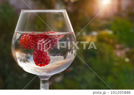 Fresh raspberries with a glass on the nature background Fresh raspberries with a glass on the nature background 101205886