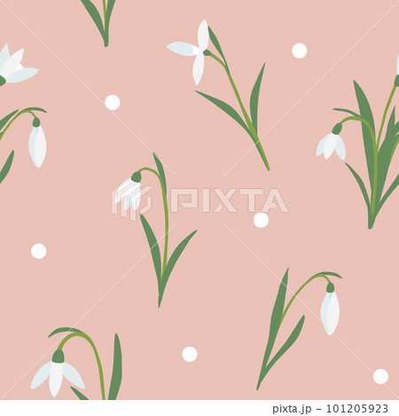 Seamless pattern with snowdrops spring flowers on pink background, vector 101205923