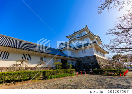 千葉県　大多喜町　大多喜城 101207567