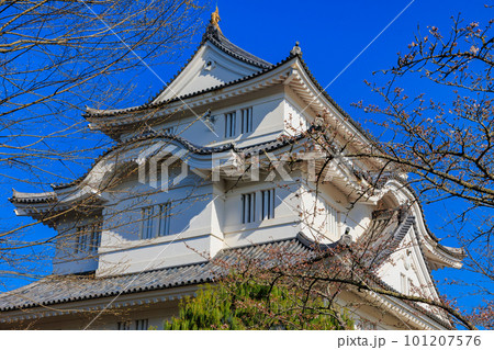 千葉県　大多喜町　大多喜城 101207576