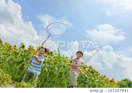 ひまわりの咲く公園で虫を追う兄弟 101207941